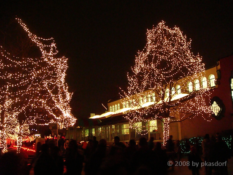 115 Toledo Zoo Light Show [2008 Dec 27].JPG - Scenes from the Toledo Zoo Light Show.
